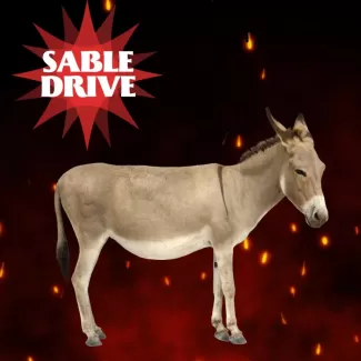 I Wupped Batman's Ass Cover